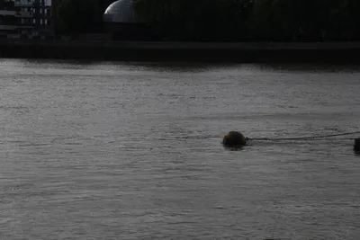 DSC_6436 (Large).JPG